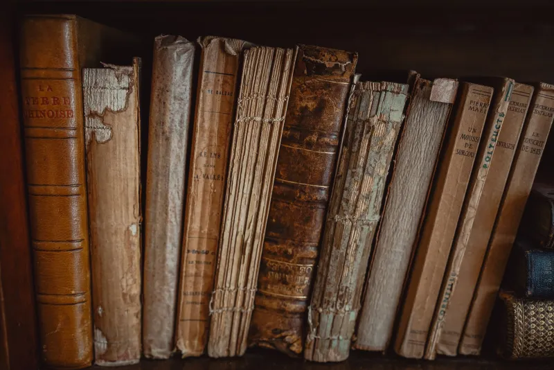 Unread and Unashamed: The Manga Hoarding Habit Fans Can't Quit